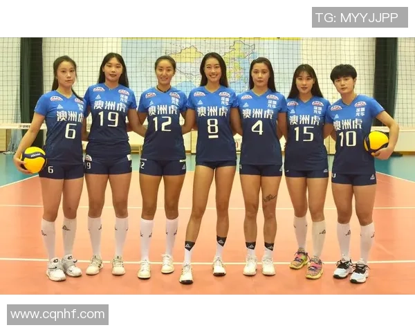 排球热点：解读深圳排球队的运营