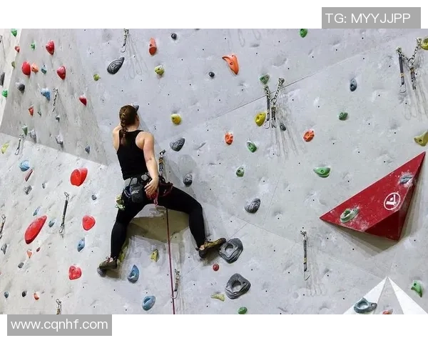 攀岩联赛积分榜：上海飞盘队以91分领跑